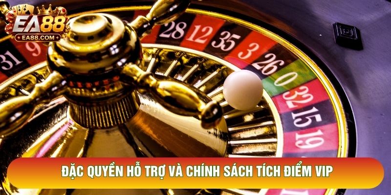 Đặc quyền hỗ trợ và chính sách tích điểm VIP
