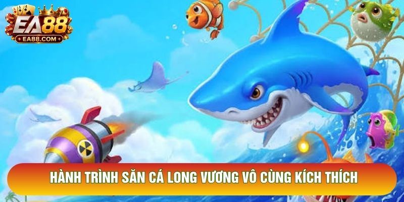 Hành trình săn cá long vương vô cùng kích thích