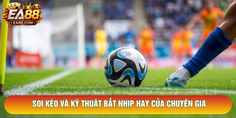 Soi kèo và kỹ thuật bắt nhịp hay của chuyên gia