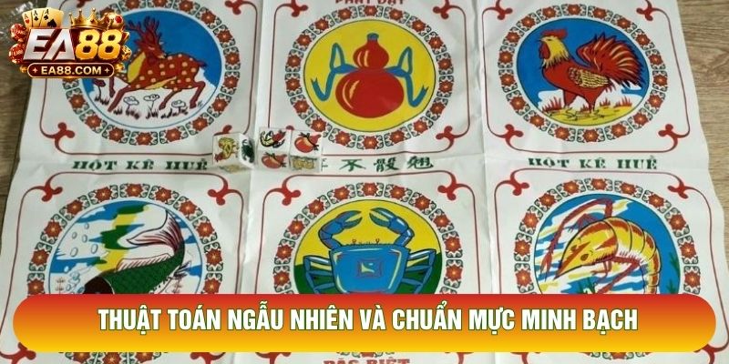 Thuật toán ngẫu nhiên và chuẩn mực minh bạch